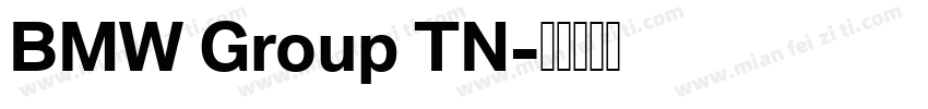 BMW Group TN字体转换